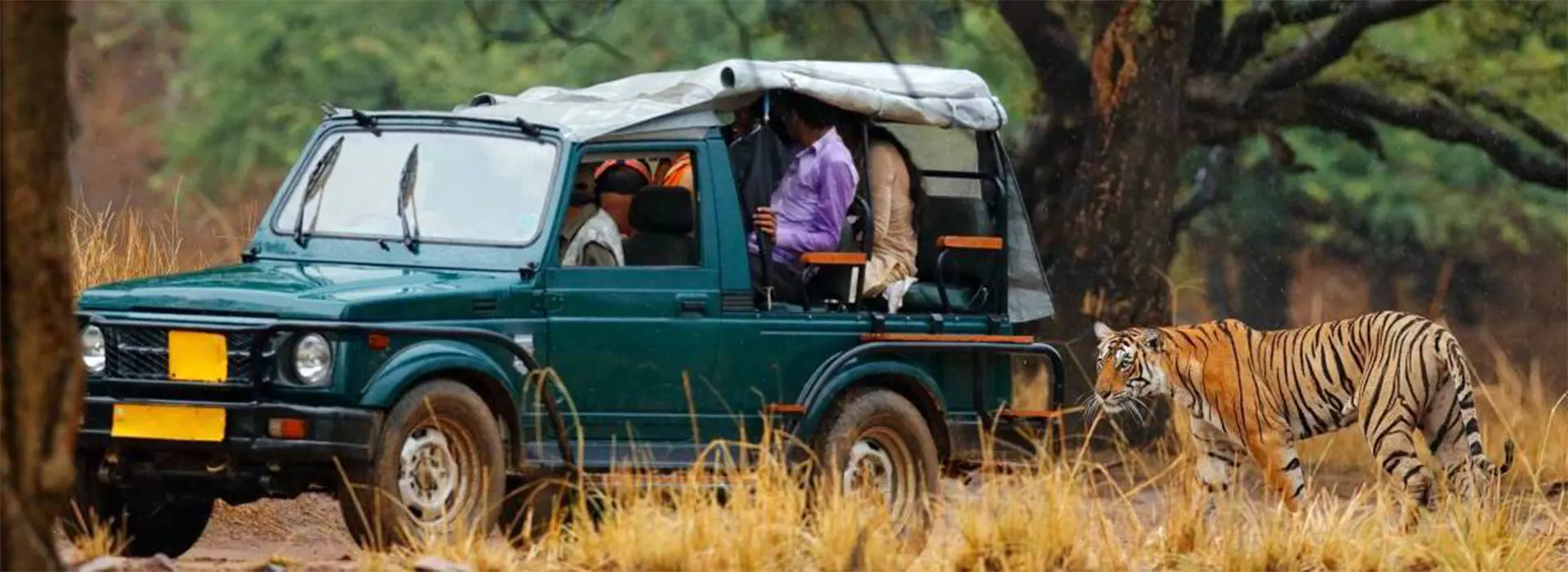 Golden Triangle Tour with Ranthambore