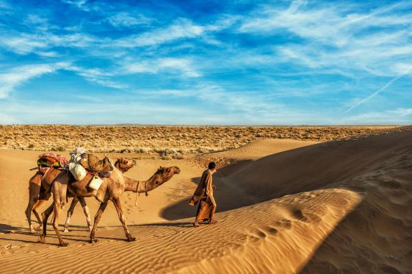 Complete Royal Rajasthan Tour covering forts palaces and heritage cities